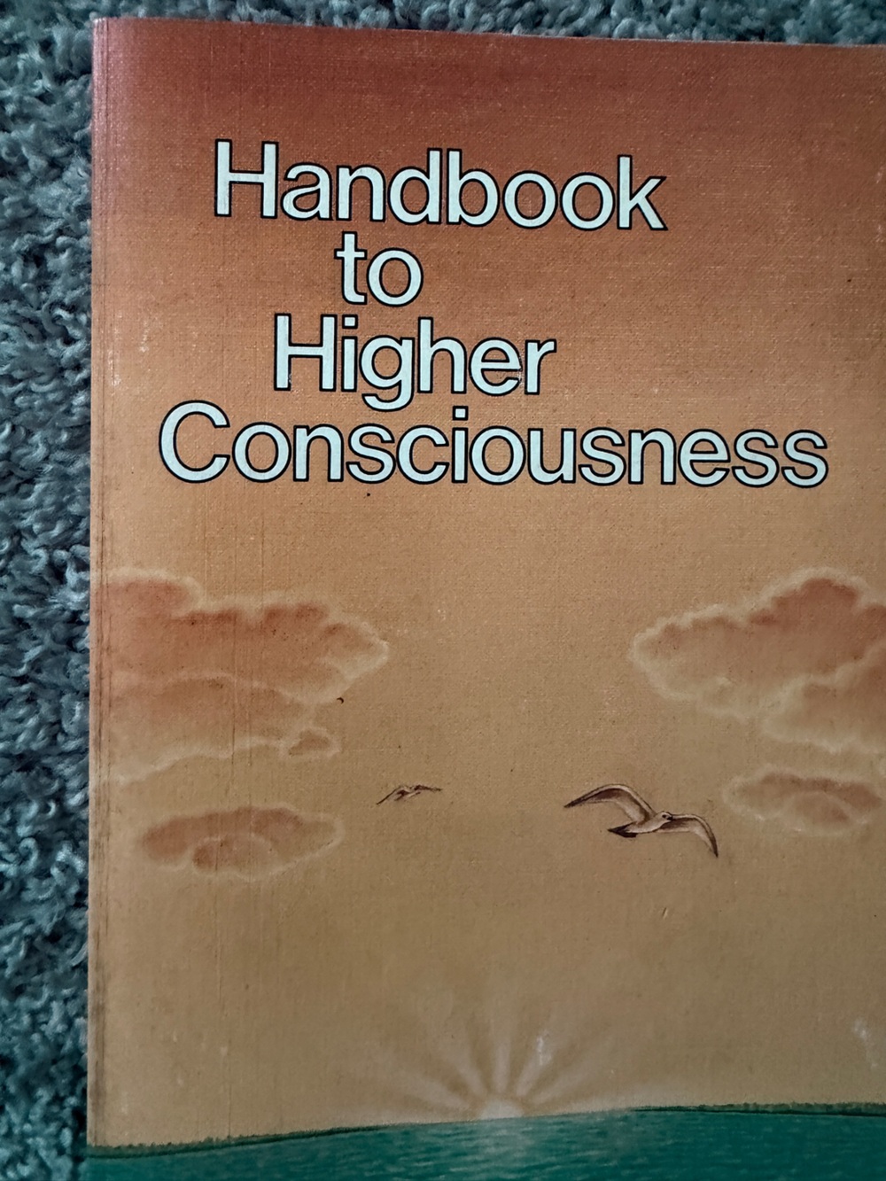 To Higher Consciousness Book - Tan Cover with Sky Motif